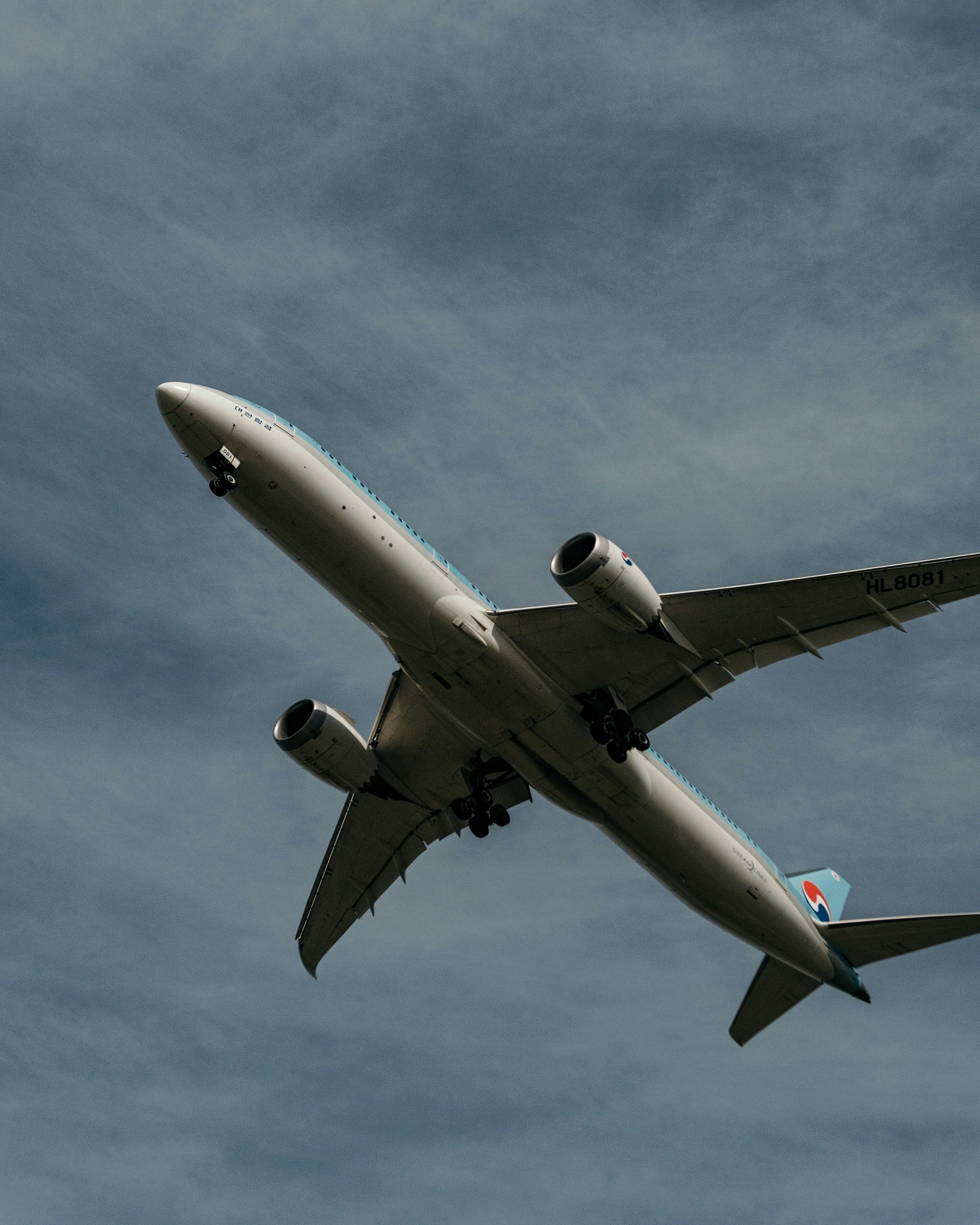 Transfers and Logistics