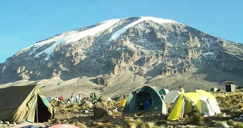 Livingwell Tours and Safaris