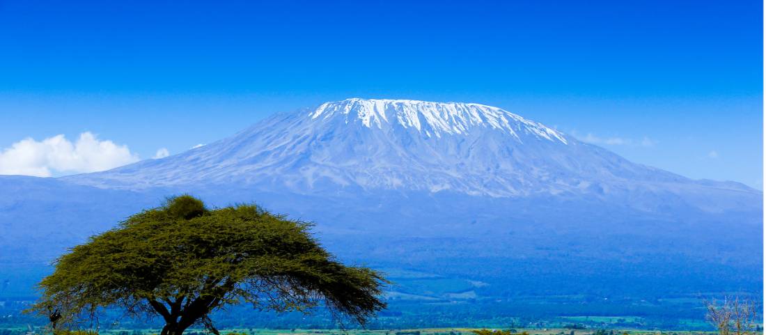 Mount Kilimanjaro snow-capped peak at sunrise