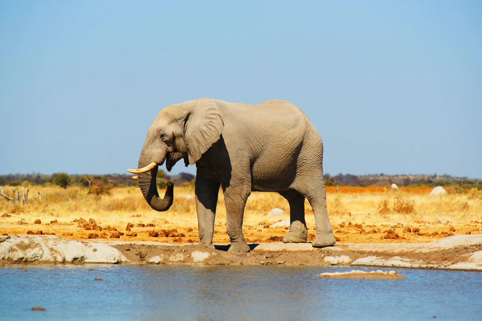 Ngorongoro & Serengeti